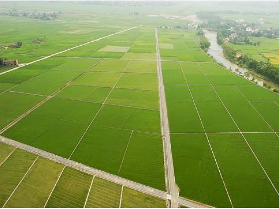 MapGIS县市级土地整治规划数据库建库